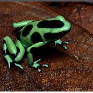 Meet your Posher, Matt